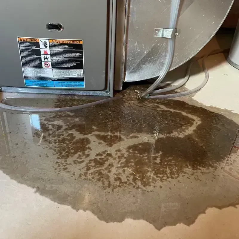 Appliance Leak Cleanup in Cutlerville, MI